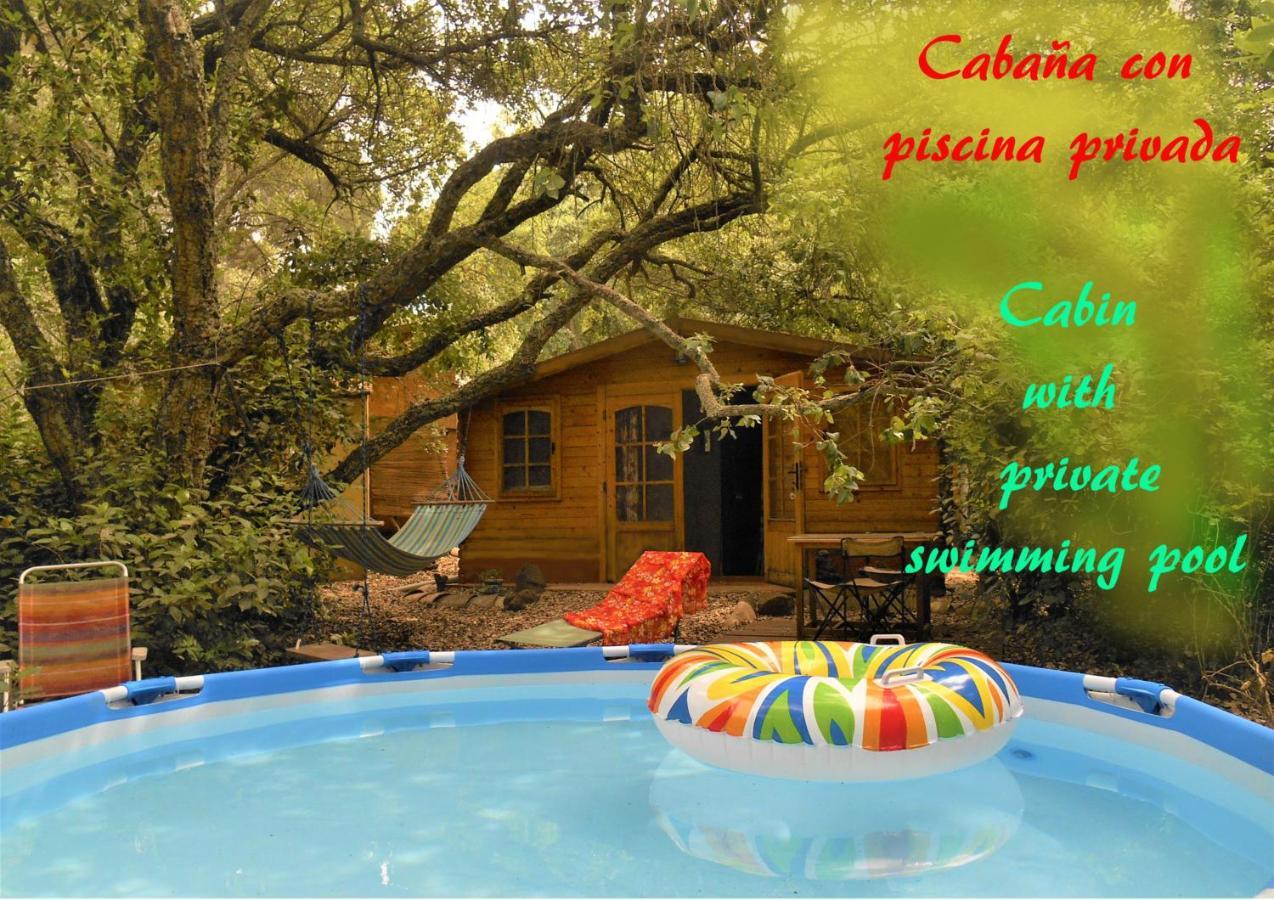 La Cabana Del Alcornoque Cordoba Ngoại thất bức ảnh