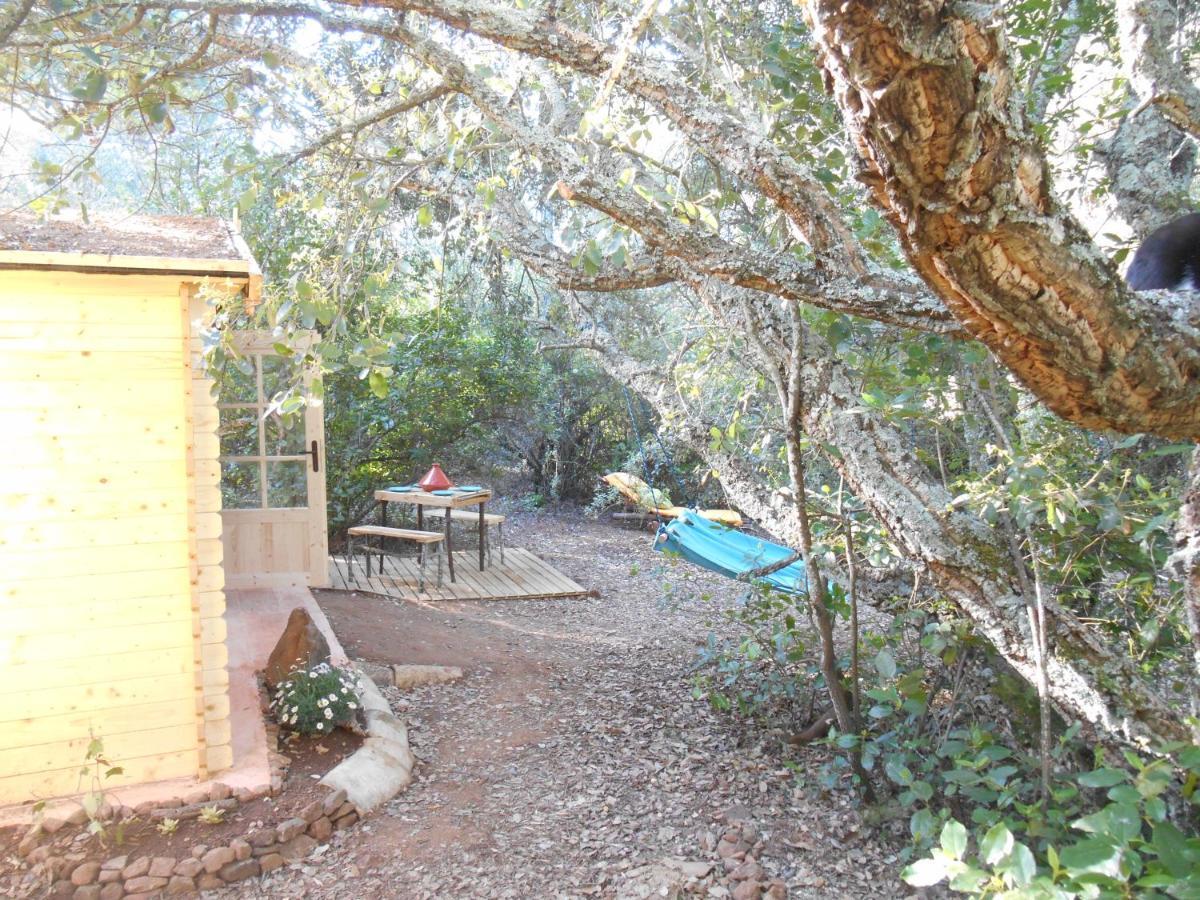 La Cabana Del Alcornoque Cordoba Ngoại thất bức ảnh